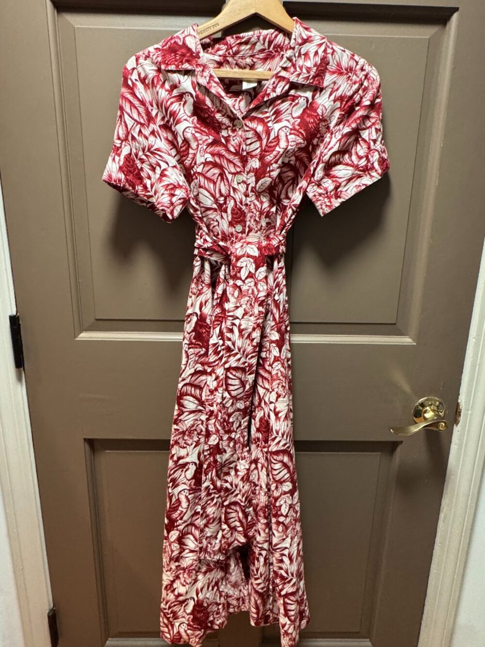 Rachel Zoe Burgundy Ivory Botanical Print Shirt Dress Small